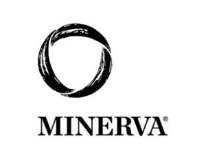 Minerva Remains Most Selective University - IT News Direct